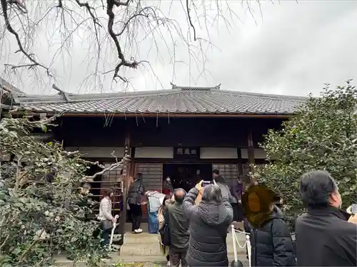 地蔵院（椿寺）(京都府)