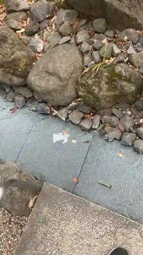 大國魂神社の御朱印