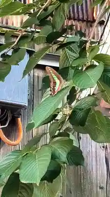 彌榮神社(大阪府)