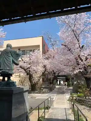 墨染寺（桜寺）(京都府)
