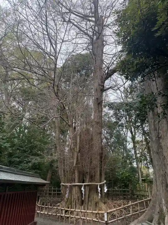 大國魂神社の{uncategorized: "未分類", other: "その他", undefined: "問題あり", building: "その他建物", grave: "お墓", sacred_gate: "鳥居", guardian: "狛犬", statue: "像", buddha: "仏像", history: "歴史", nature: "自然", garden: "庭園", animal: "動物", pagoda: "塔", temizu: "手水舎", mountain_gate: "山門・神門", sanctuary: "本殿・本堂", subordinate: "末社・摂社", art: "芸術", scenery: "景色", jizo: "地蔵", ema: "絵馬", goshuin: "御朱印", omikuji: "おみくじ", items: "授与品その他", amulet: "お守り", goshuincho: "御朱印帳", eats: "食事", festival: "お祭り", votive_dance: "神楽", shichigosan: "七五三参", wedding: "結婚式", experience: "体験その他", initially: "初詣", around: "周辺", anti_infection: "感染症対策"}