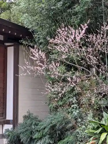 阿佐ヶ谷神明宮(東京都)