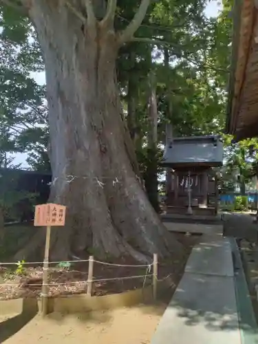 鹿島御子神社(福島県)
