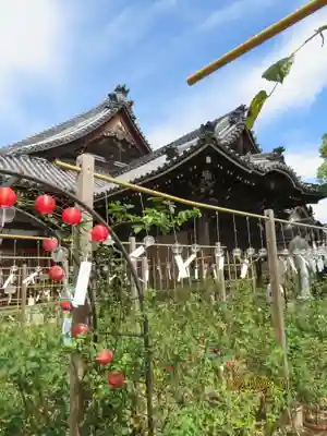 おふさ観音（観音寺）(奈良県)