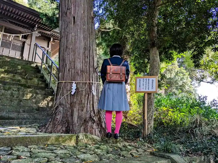 白山神社の自然