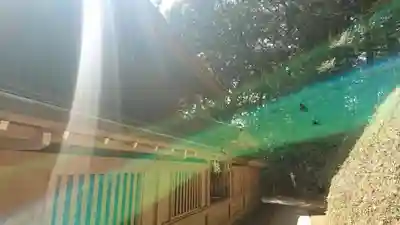 猿田神社のその他建物