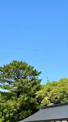 橿原神宮(奈良県)