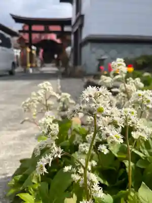 大鏑神社(福島県)