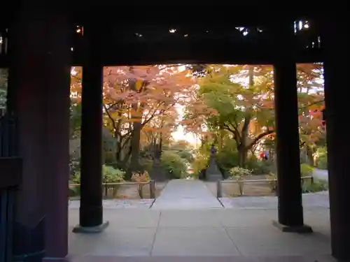 妙本寺の山門