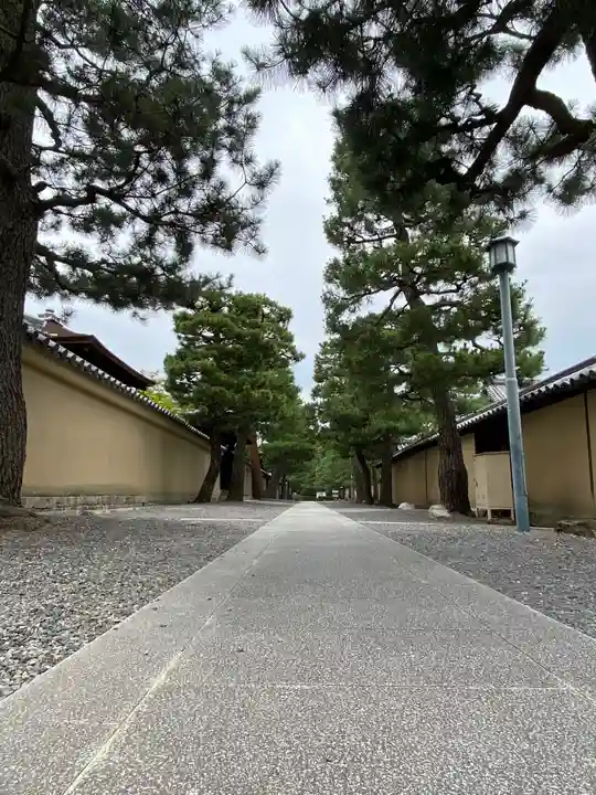 大徳寺のその他建物