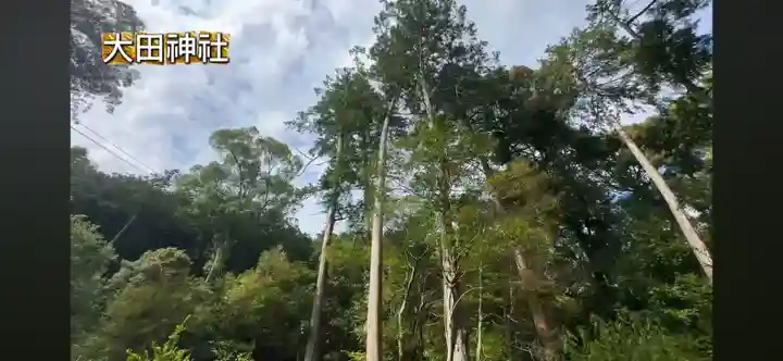 太田神社(京都府)