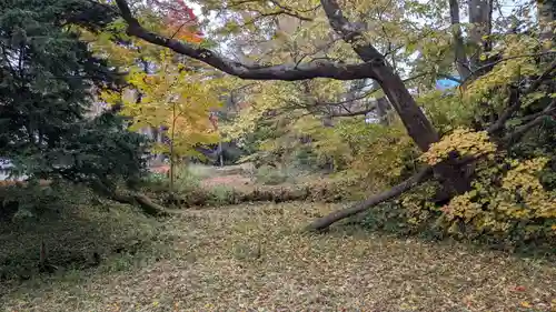 神社（お稲荷様）の自然