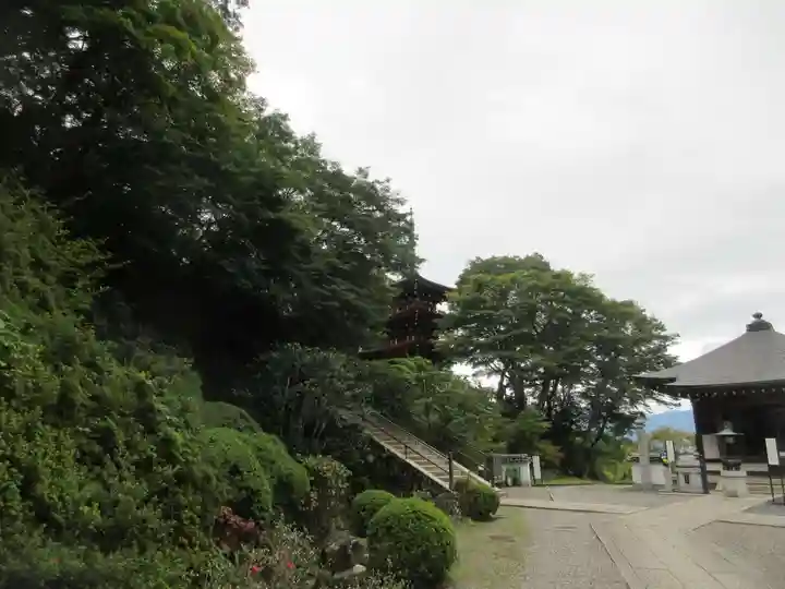 岡寺(龍蓋寺)(奈良県)