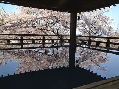 園城寺（三井寺）のその他建物