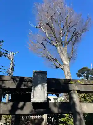 白鳥稲荷大明神の{uncategorized: "未分類", other: "その他", undefined: "問題あり", building: "その他建物", grave: "お墓", sacred_gate: "鳥居", guardian: "狛犬", statue: "像", buddha: "仏像", history: "歴史", nature: "自然", garden: "庭園", animal: "動物", pagoda: "塔", temizu: "手水舎", mountain_gate: "山門・神門", sanctuary: "本殿・本堂", subordinate: "末社・摂社", art: "芸術", scenery: "景色", jizo: "地蔵", ema: "絵馬", goshuin: "御朱印", omikuji: "おみくじ", items: "授与品その他", amulet: "お守り", goshuincho: "御朱印帳", eats: "食事", festival: "お祭り", votive_dance: "神楽", shichigosan: "七五三参", wedding: "結婚式", experience: "体験その他", initially: "初詣", around: "周辺", anti_infection: "感染症対策"}