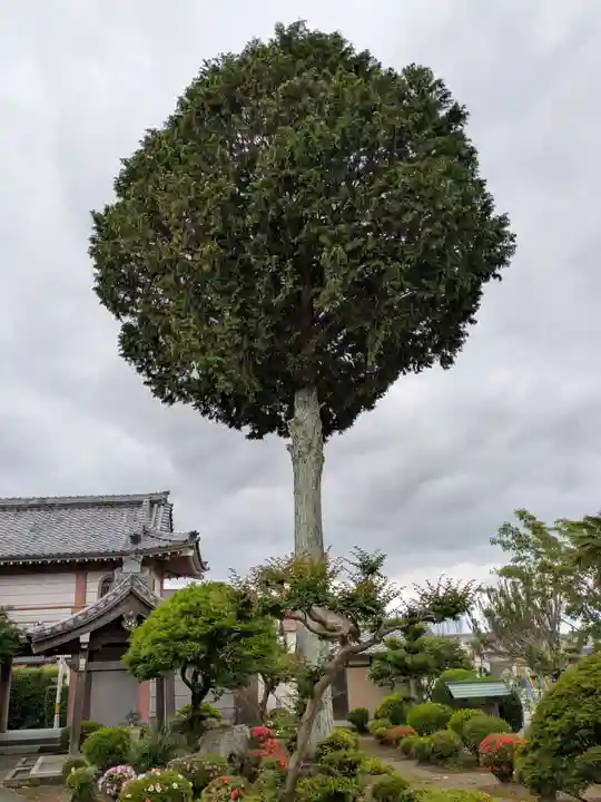 円通寺(岐阜県)