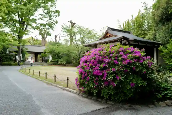 阿佐ヶ谷神明宮の{uncategorized: "未分類", other: "その他", undefined: "問題あり", building: "その他建物", grave: "お墓", sacred_gate: "鳥居", guardian: "狛犬", statue: "像", buddha: "仏像", history: "歴史", nature: "自然", garden: "庭園", animal: "動物", pagoda: "塔", temizu: "手水舎", mountain_gate: "山門・神門", sanctuary: "本殿・本堂", subordinate: "末社・摂社", art: "芸術", scenery: "景色", jizo: "地蔵", ema: "絵馬", goshuin: "御朱印", omikuji: "おみくじ", items: "授与品その他", amulet: "お守り", goshuincho: "御朱印帳", eats: "食事", festival: "お祭り", votive_dance: "神楽", shichigosan: "七五三参", wedding: "結婚式", experience: "体験その他", initially: "初詣", around: "周辺", anti_infection: "感染症対策"}