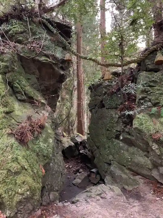 室生龍穴神社の自然