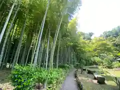 英勝寺(神奈川県)