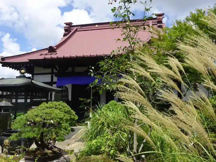 常泉寺の本殿・本堂