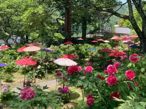 遠照寺(長野県)