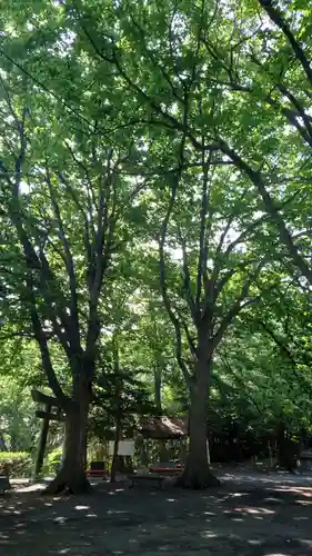 相馬神社(北海道)