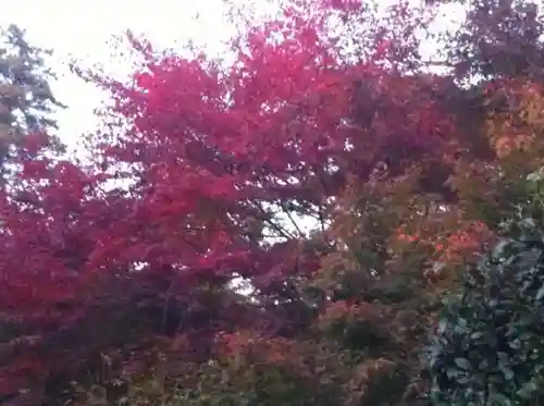 筑波山神社の自然