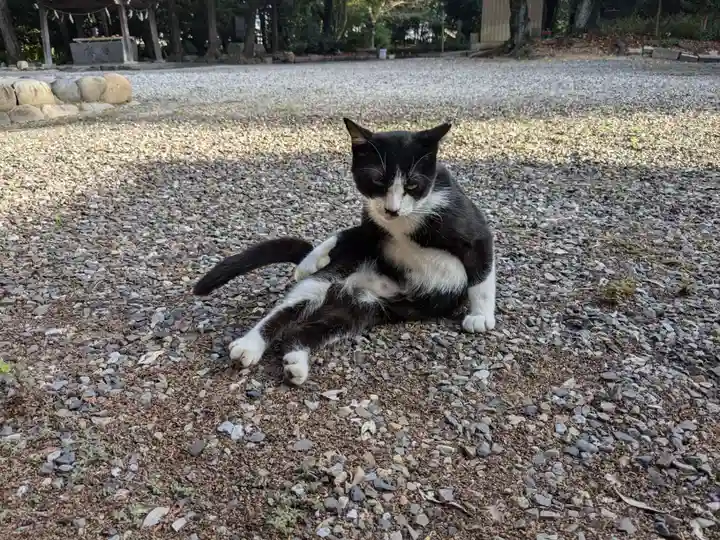 八幡社(柏井町)の動物