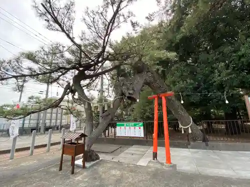 玉村八幡宮の庭園