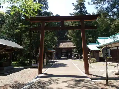 若狭姫神社（若狭彦神社下社）の鳥居