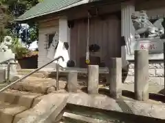 岸根杉山神社の狛犬