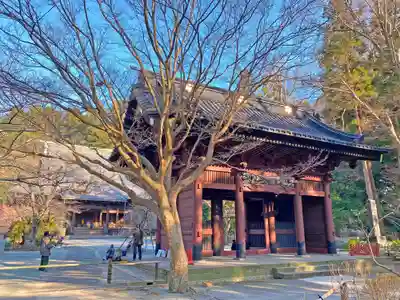 妙本寺の山門・神門