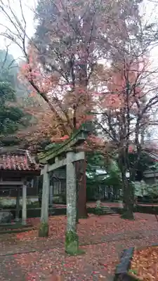金剱宮の鳥居