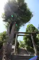 所澤神明社(埼玉県)