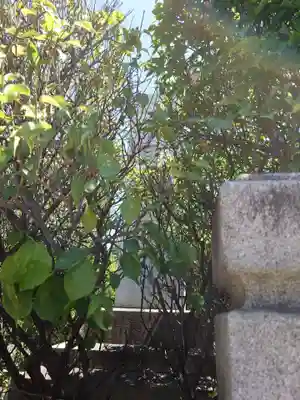 小村井 香取神社(東京都)