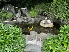 櫻木神社(千葉県)