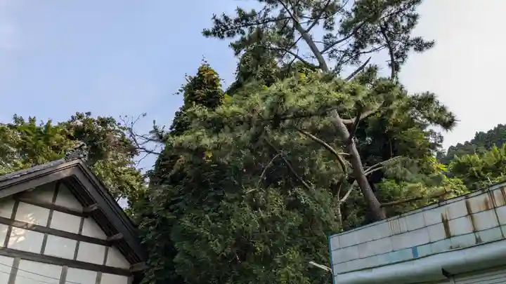 住三吉神社の自然