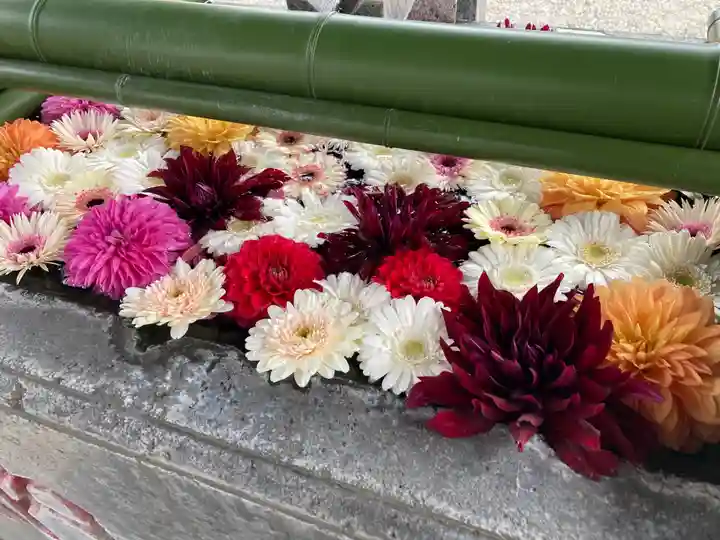 草加神社(埼玉県)