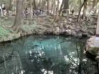 泉神社(茨城県)