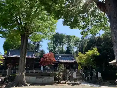 瀧宮神社(埼玉県)