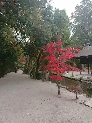 賀茂別雷神社（上賀茂神社）の庭園