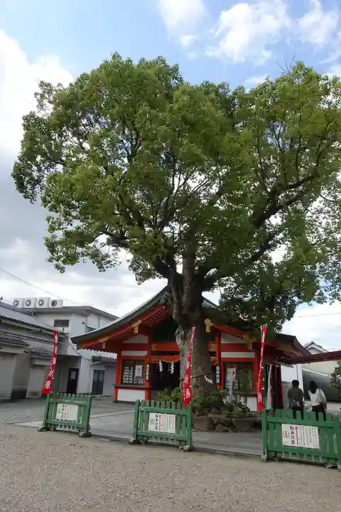 足の神様 服部天神宮の自然