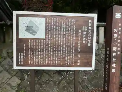 矢彦神社(長野県)
