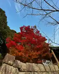 飯盛神社(長崎県)