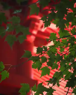 赤城神社(群馬県)