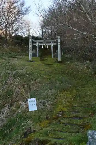 野鹿池神社(徳島県)