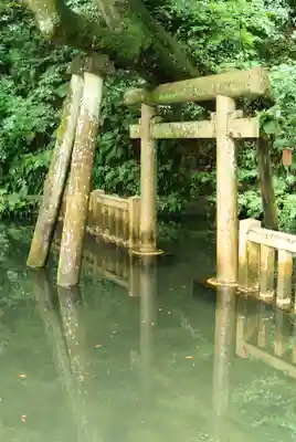 奥宮(鹿島神宮摂社)(茨城県)