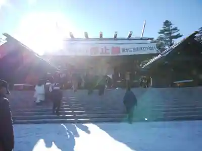 北海道神宮の初詣