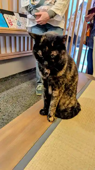 五十稲荷神社(栄寿稲荷神社)の動物