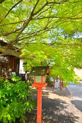 猿田彦神社(東京都)